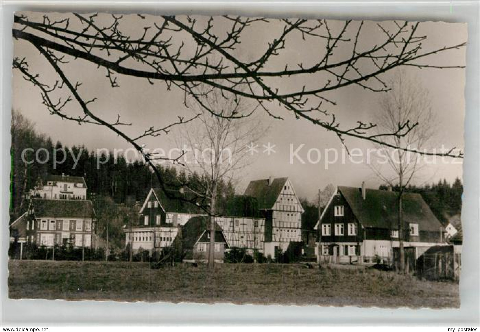 42978592 Wiedenest Bibelschule Wiedenest - Bergneustadt