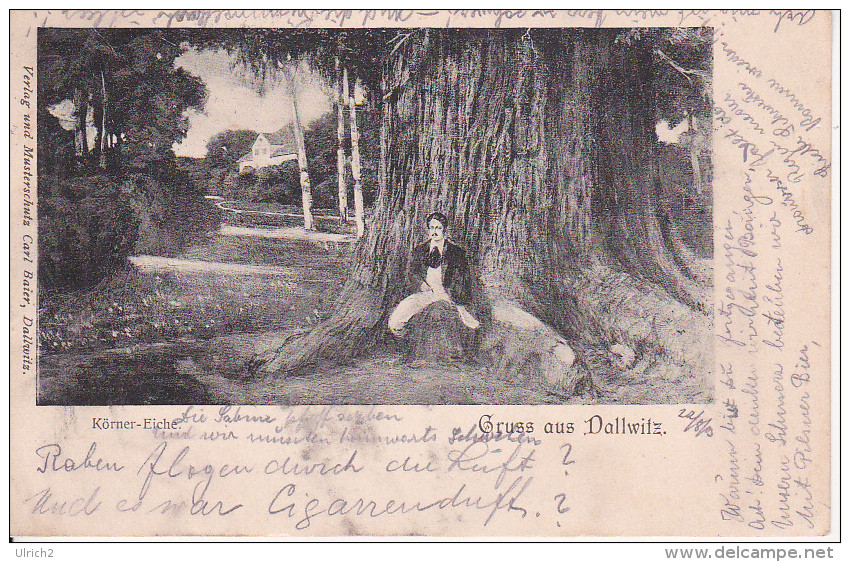 AK Dallwitz Bei Karlsbad  Dalovice - Körner-Eiche - 1903 (18784) - Tschechische Republik