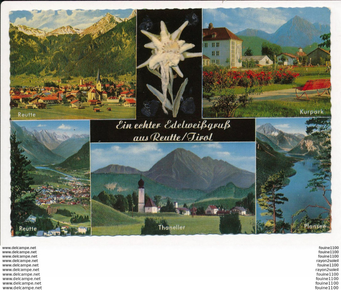 Carte ( Format 15 X 10,5 Cm ) Ein Echter Edelweiss Gruss Aus Reutte Tirol / Thaneller  ( Recto Verso ) - Reutte