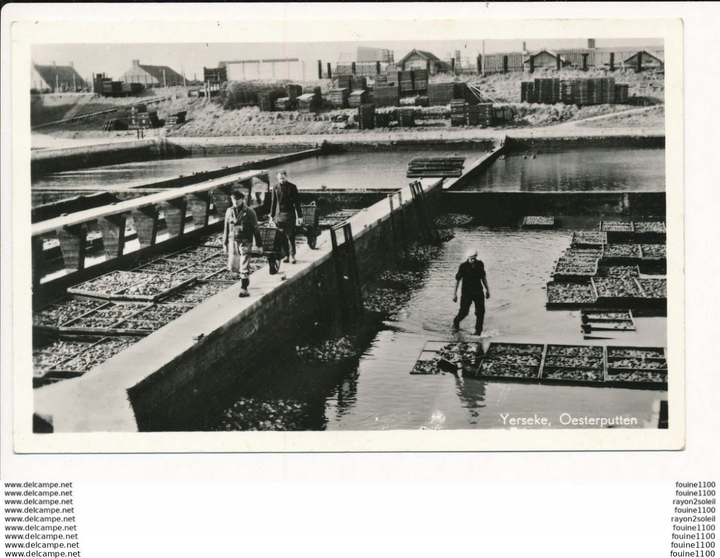 Carte De YERSEKE Oesterputten ( Parc à Huitres ) ( Format 9 X 14 Cm ) - Yerseke