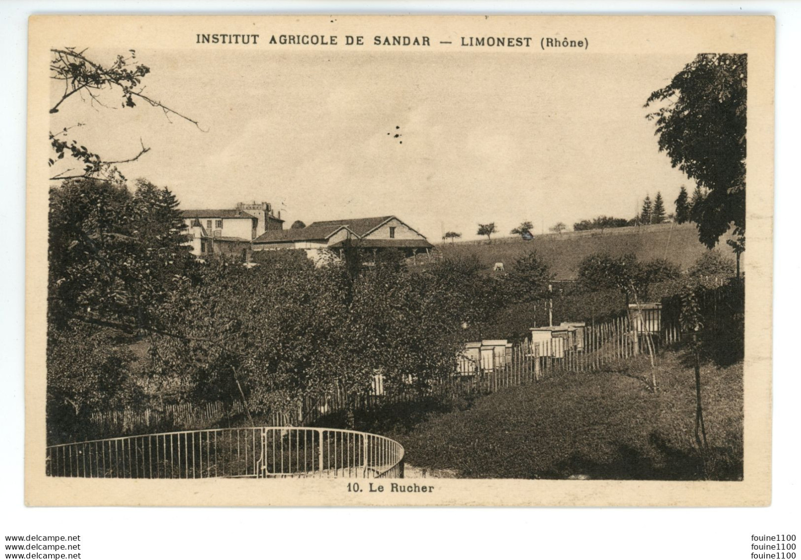 LIMONEST Institut Agricole De Sandar Le Ruchers ( Apiculture ) - Limonest