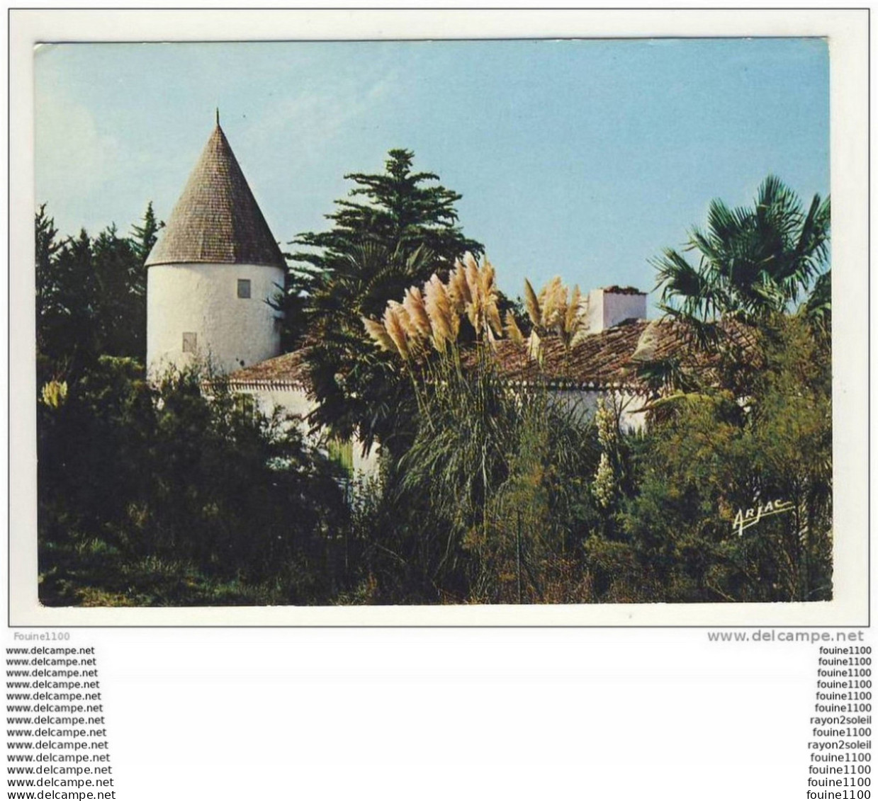 Carte Format 15 X 10,5 île D' Oléron Vieux Moulin Route De Saint Pierre ( Recto Verso ) - Saint-Pierre-d'Oleron