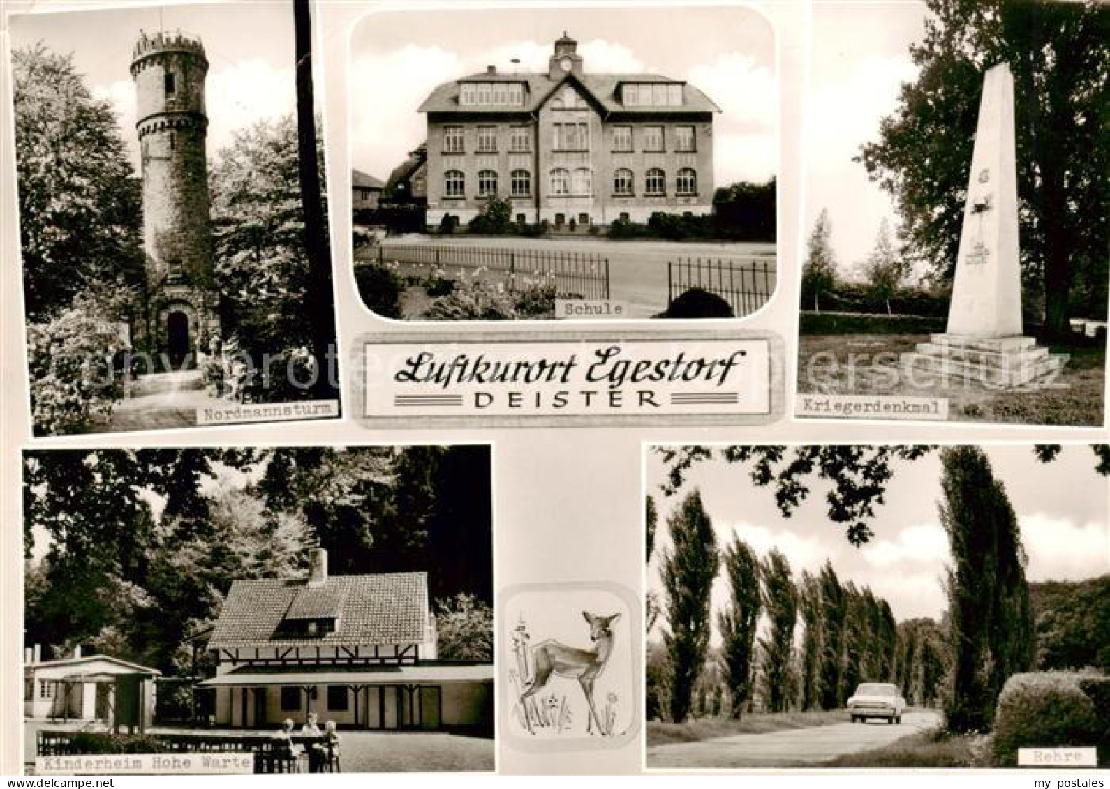 73862487 Egestorf Deister Nordmannsturm Schule Kriegerdenkmal Kinderheim Hohe Wa - Barsinghausen