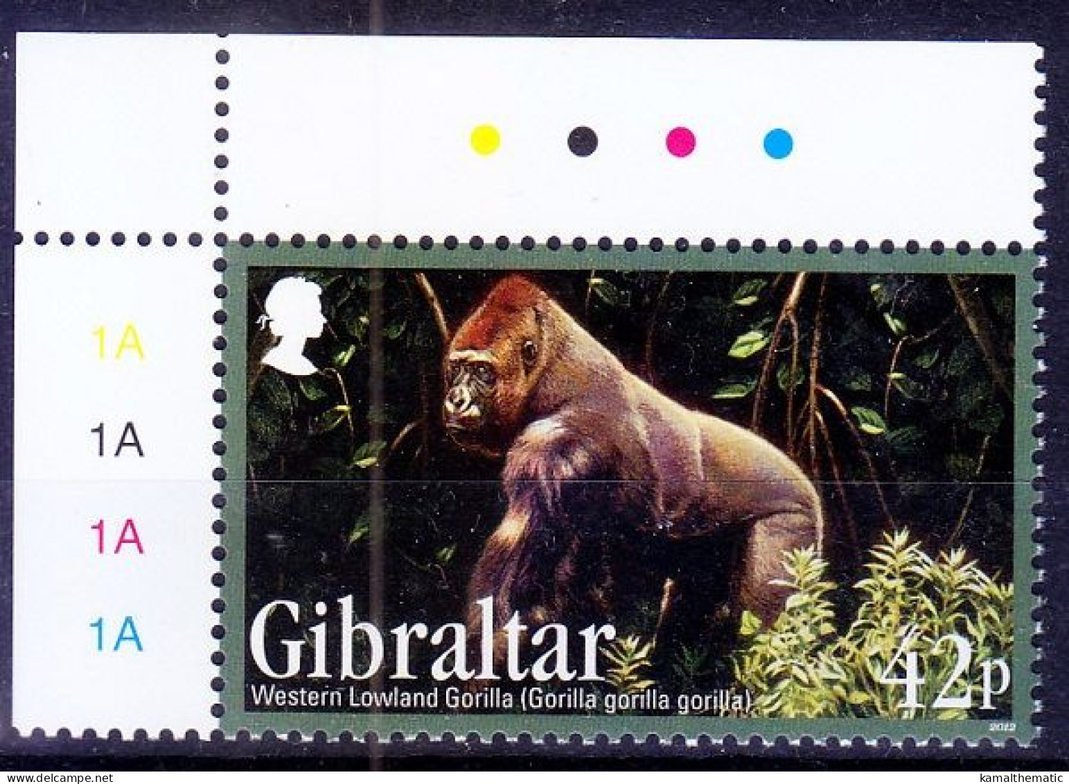 Gibraltar 2012 MNH, Western Lowland Gorilla, Wild Animals,  Corner With Colour Guide - Gorilas