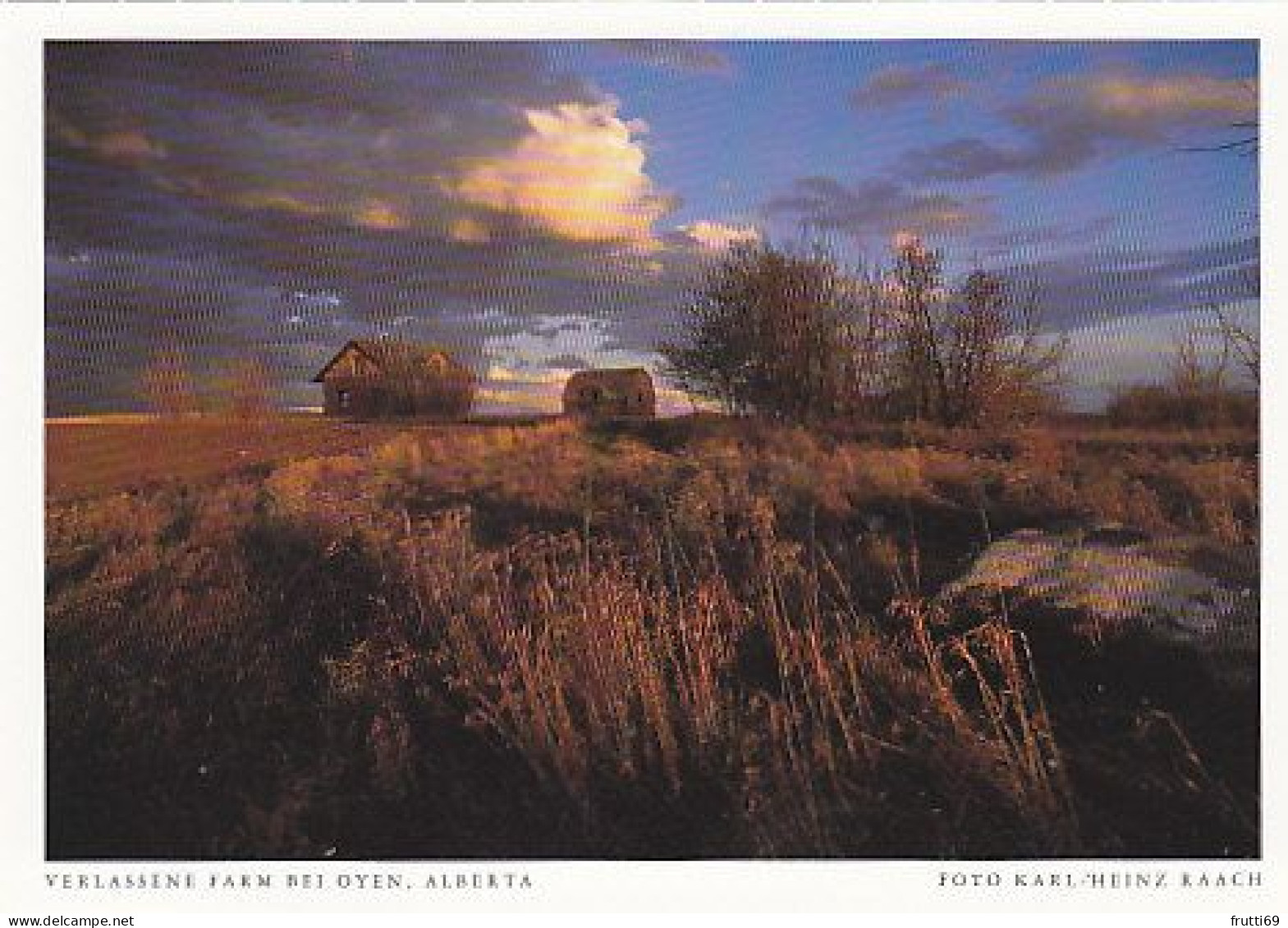AK 185986 CANADA - Alberta - Verlassene Farm Bei Oyen - Other & Unclassified