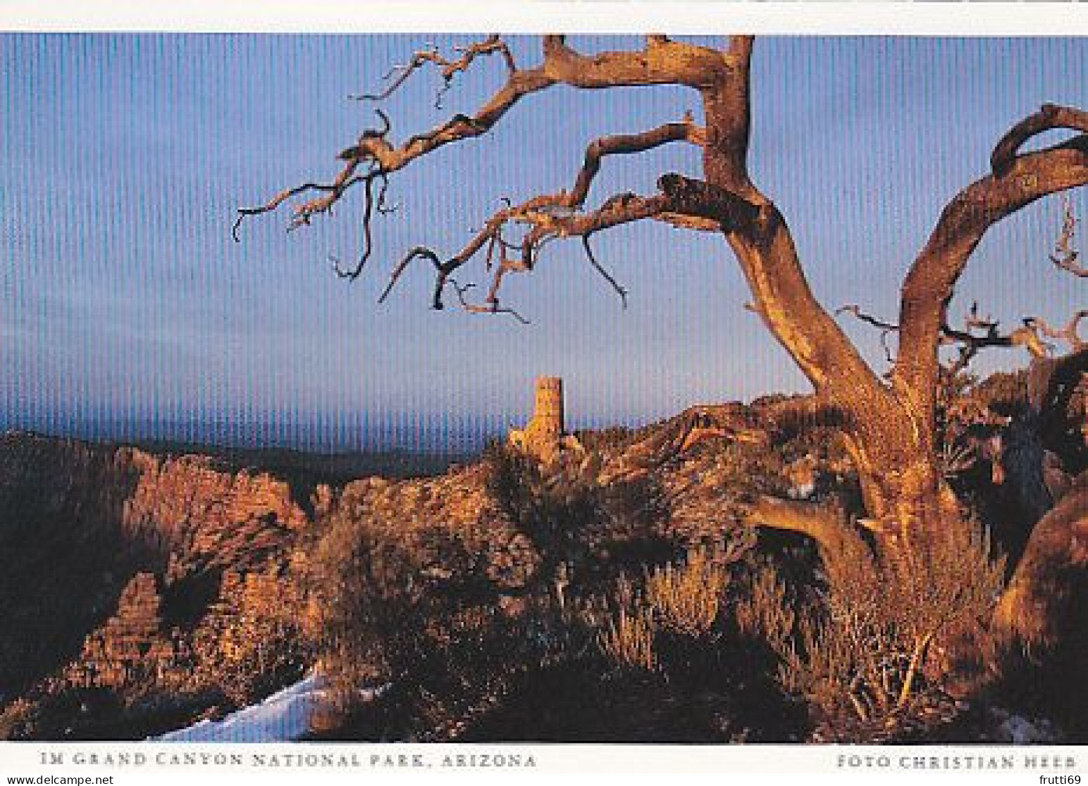 AK 185999 USA - Arizona - Im Grand Canyon National Park - Gran Cañon