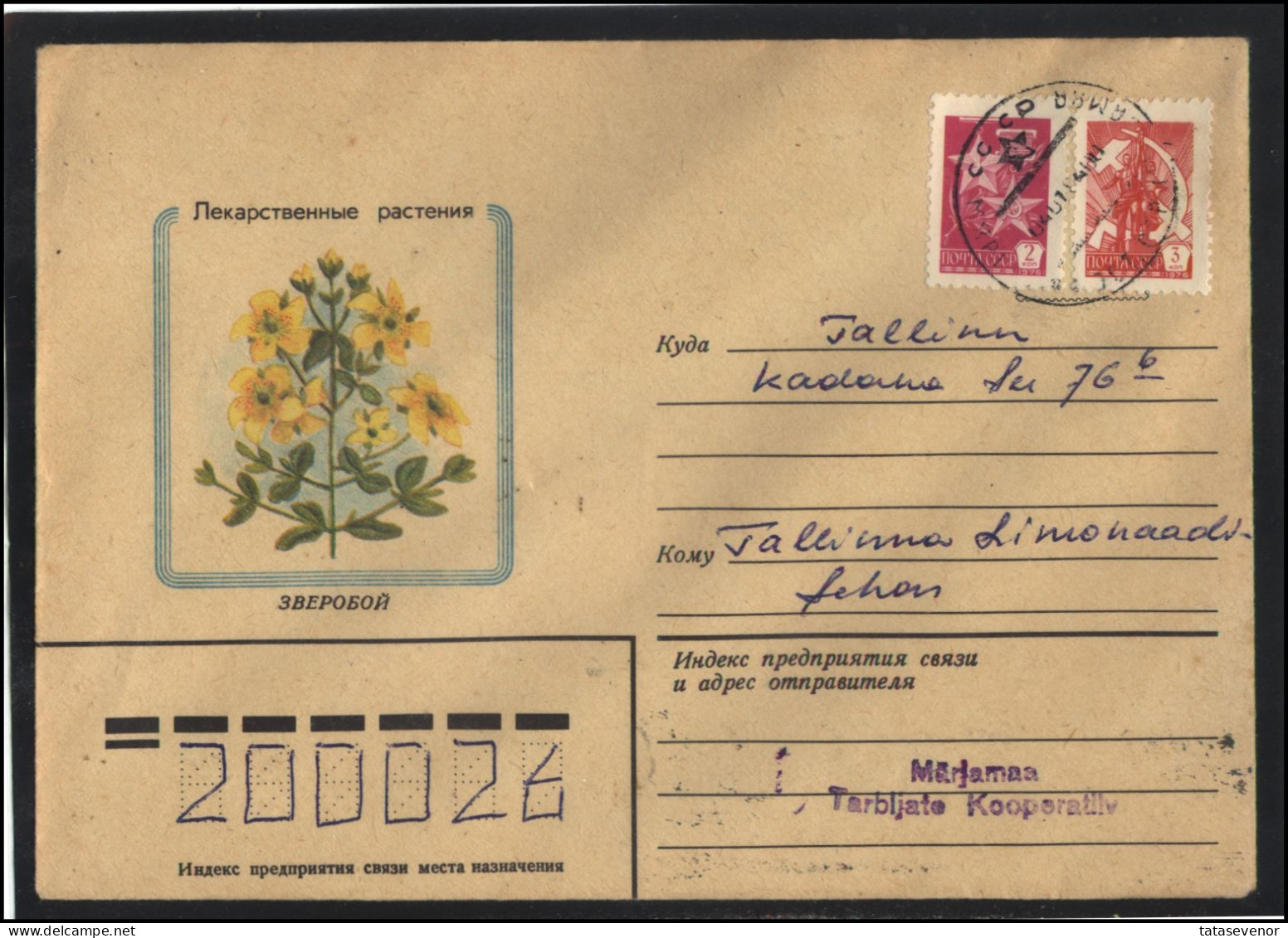 RUSSIA USSR Stationery USED ESTONIA AMBL 1272 MARJAMAA Flora Plants Herbs Saint-John's-wort - Unclassified