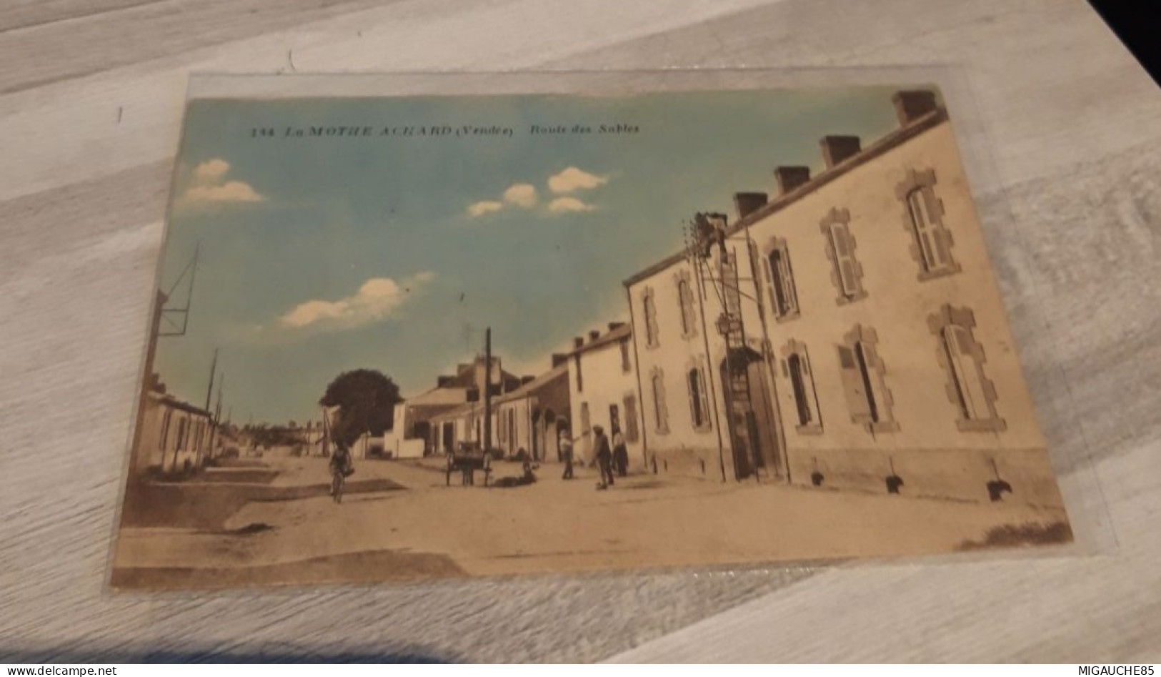 Carte  Postale    N114    LA MOTHE-ACHARD   Route Des Sables - La Mothe Achard