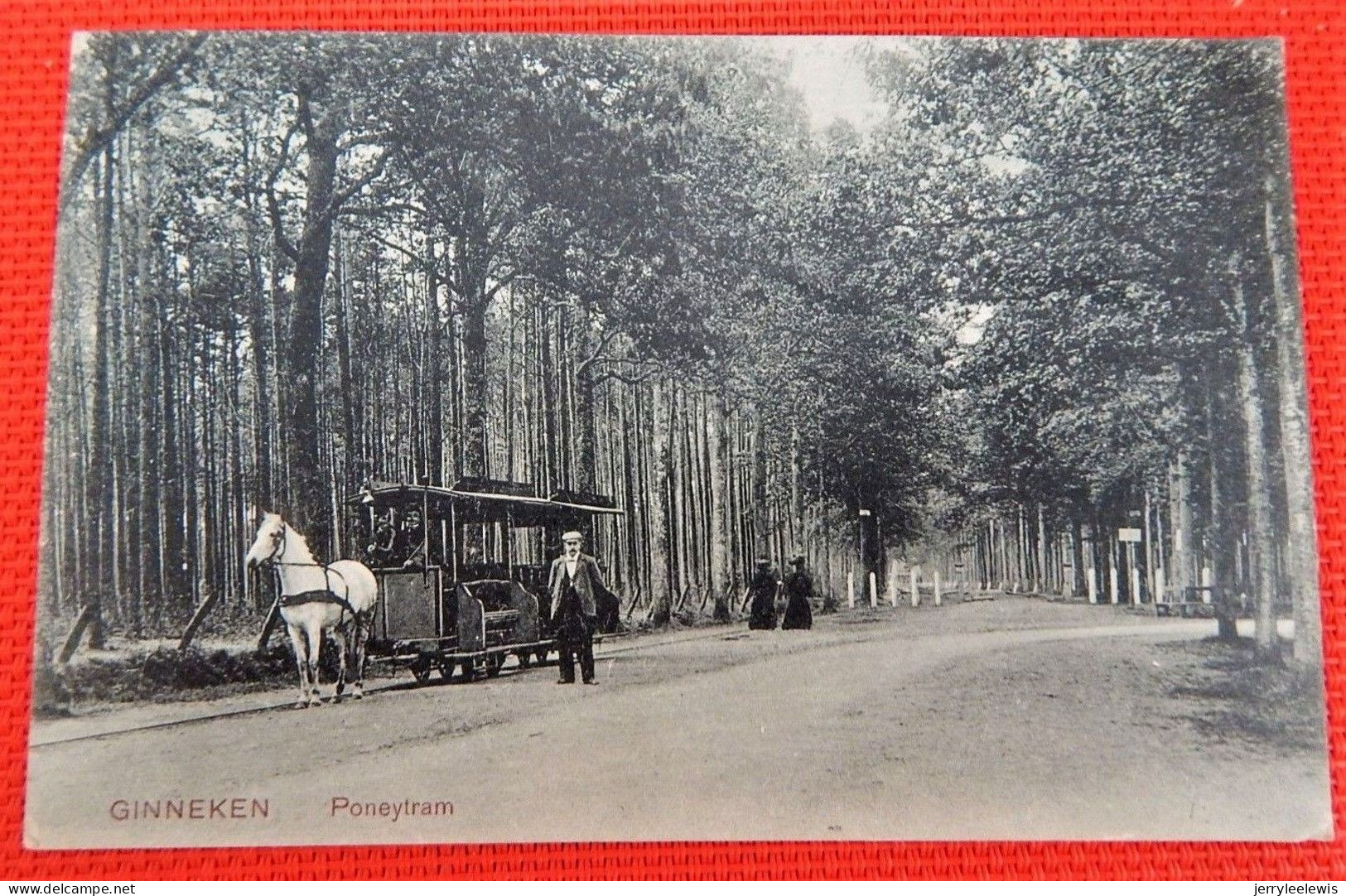 GINNEKEN -  Poneytram - Breda