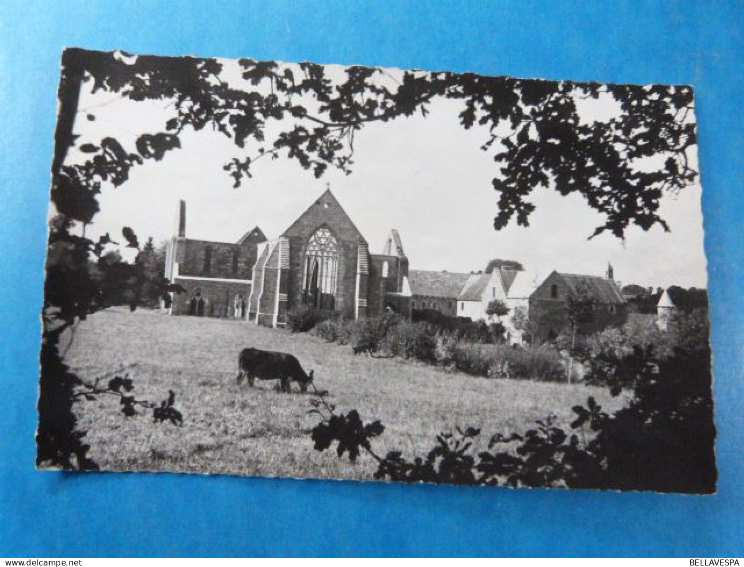 Abbaye De Boquen En Plenee-Jugon Vue Est "Beata Visio Pacis" D22 - Plénée-Jugon