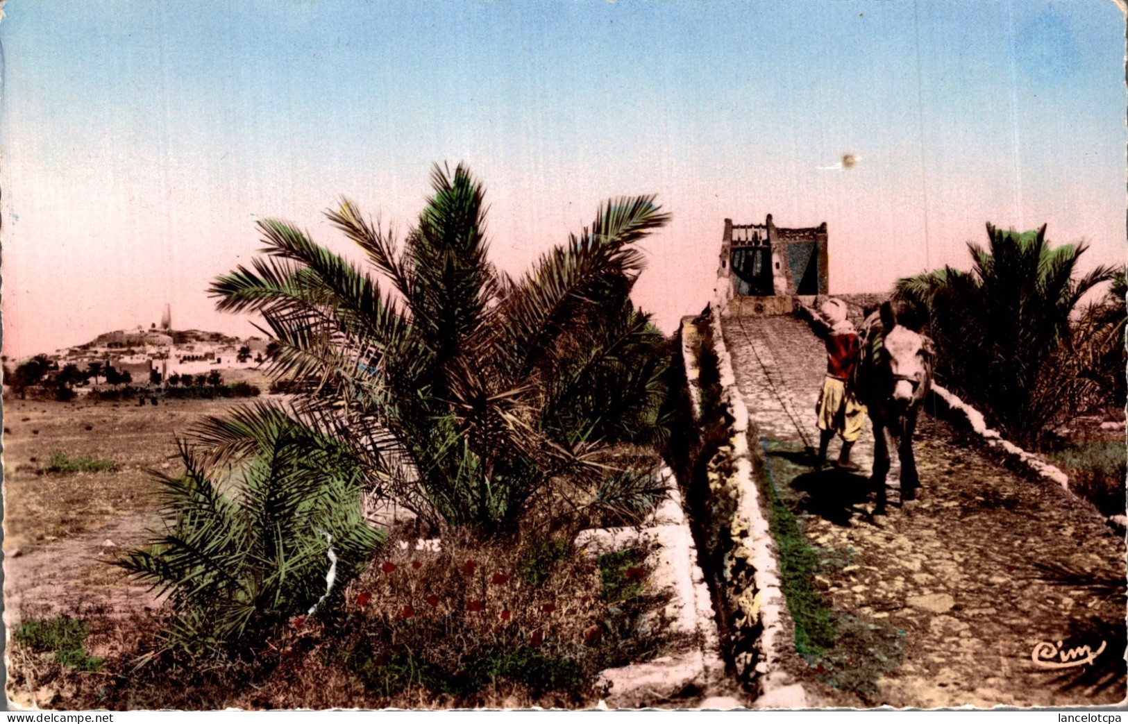 UN PUITS AU M'ZAB - Ghardaïa