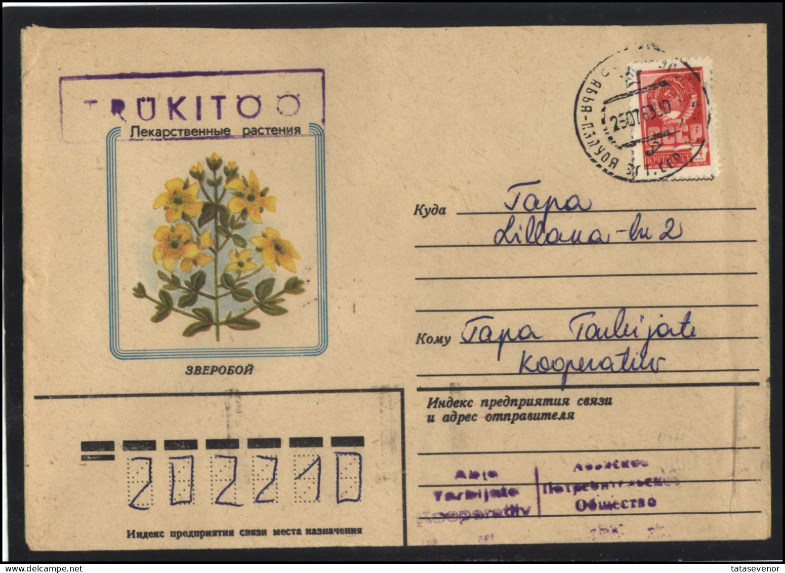 RUSSIA USSR Stationery USED ESTONIA AMBL 1274 ABJA-PALUOJA Flora Plants Herbs Saint-John's-wort - Unclassified