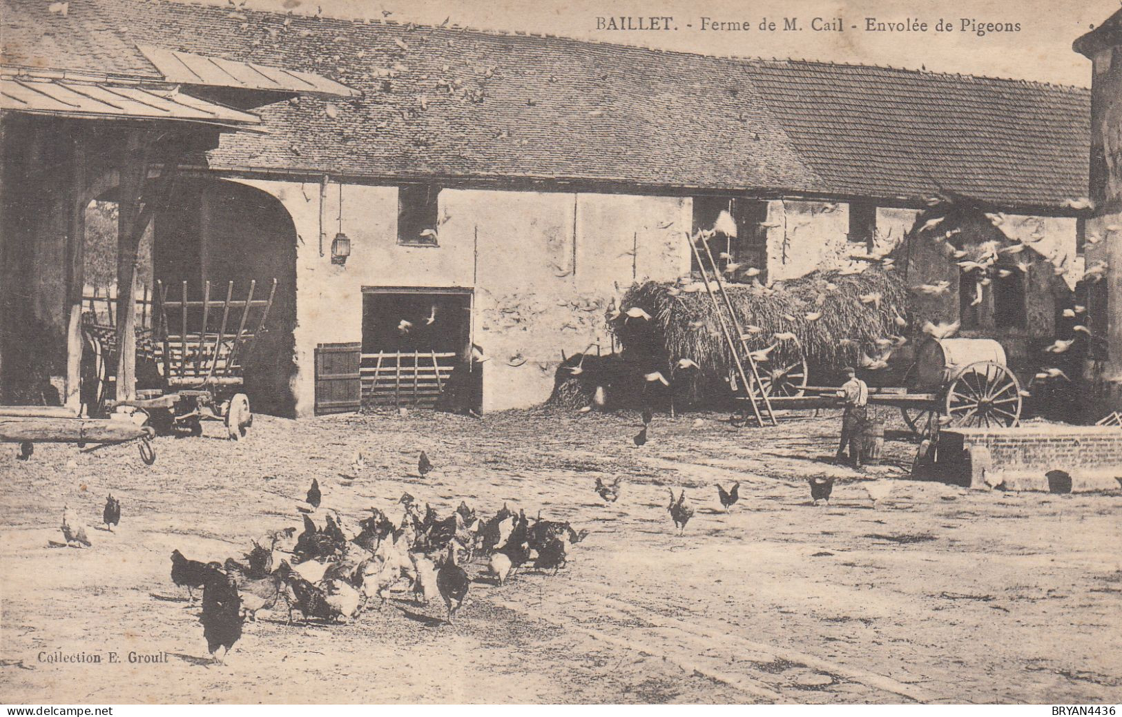 95 - BAILLET - FERME DE M.CAIL - ENVOLEE DE PIGEONS - VOIR DEUX SCANS - Baillet-en-France