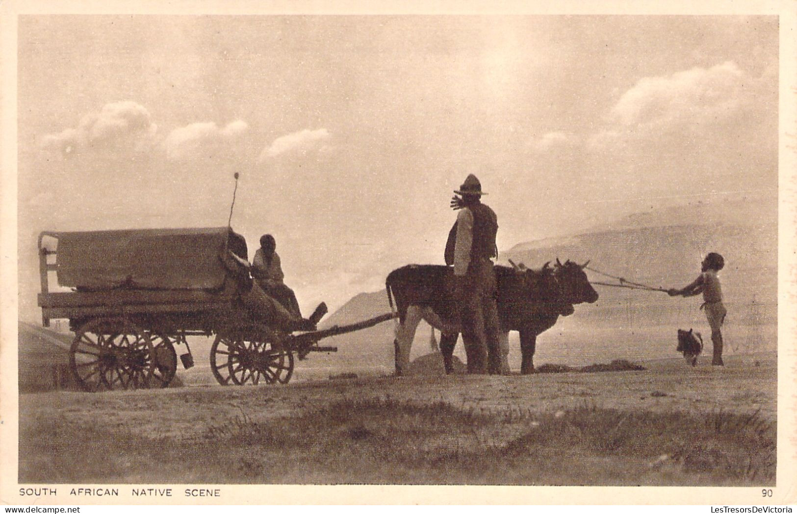 AFRIQUE DU SUD - South Africa Native Scene - Attelage De Boeufs Et Cariole - Carte Postale Ancienne - Afrique Du Sud