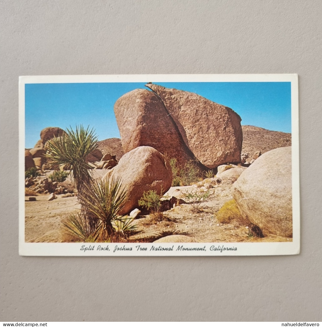 NON-CIRCULATED POSTCARD - USA - Split Rock, Joshua Tree National Monument, Palm Springs, California - Palm Springs
