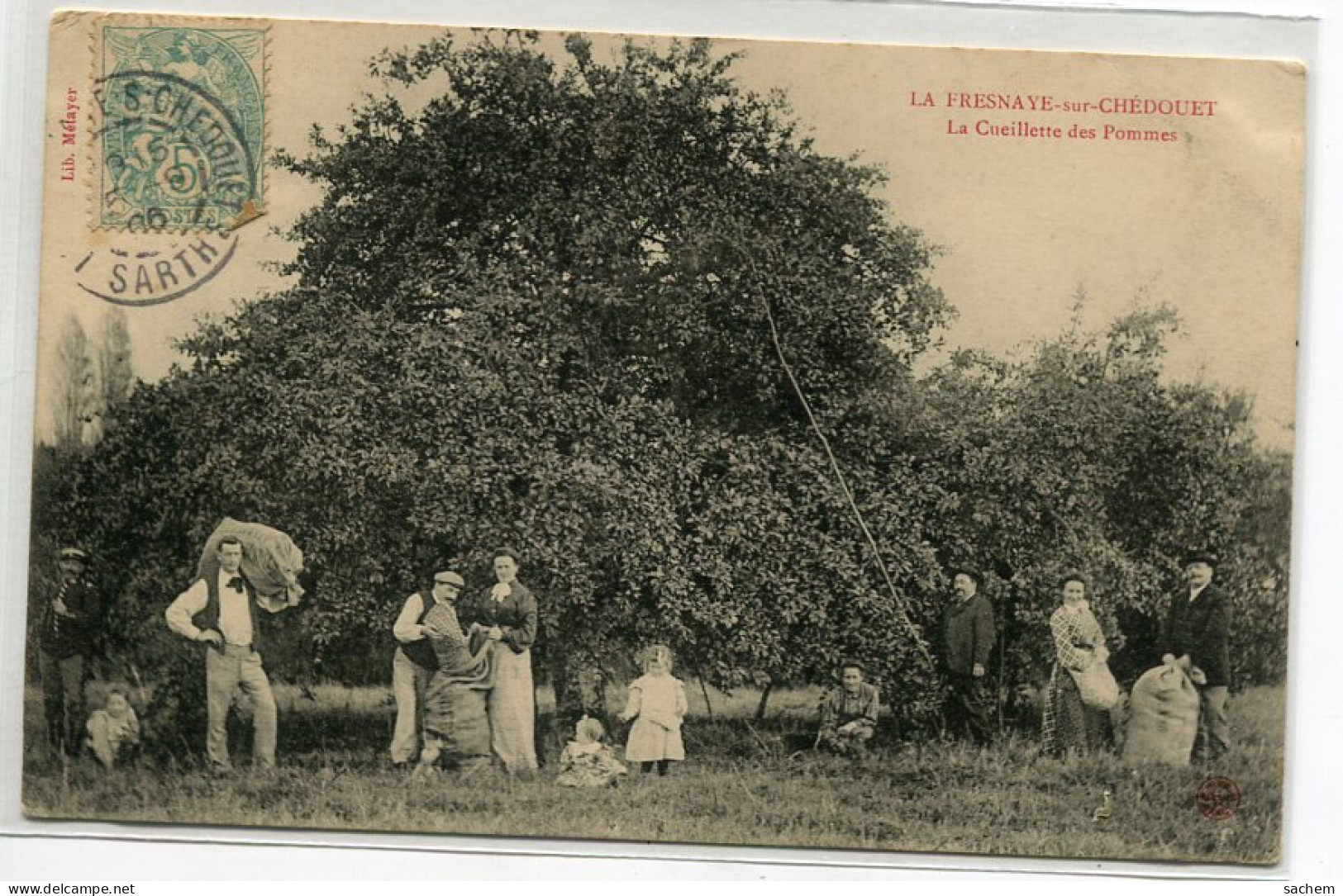 72 LA FRESNAYE Sur CHEDOUET La Cueillette Des Pommes Mises En Sacs 1906 Timbrée  Lib Metayer   D17 2019     - La Fresnaye Sur Chédouet