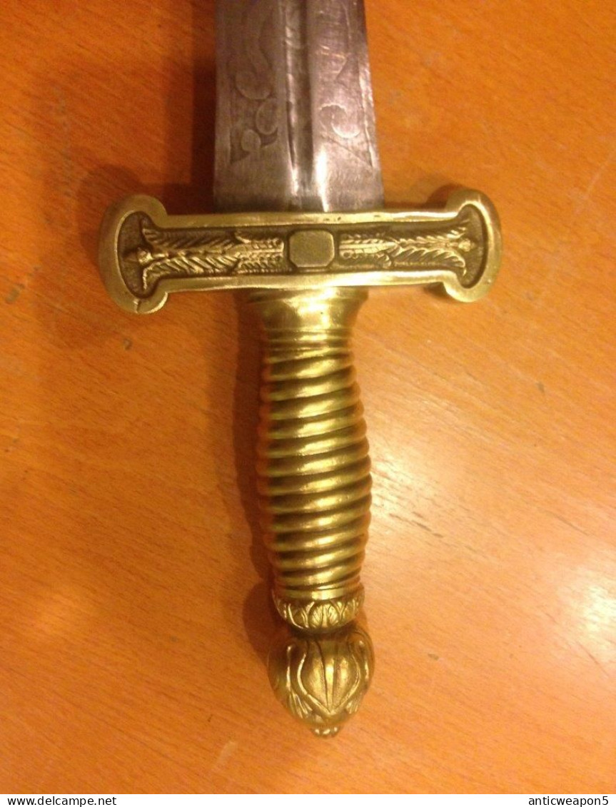 Très rare épée de cérémonie de la Garde Papale. Italie. M1848 (T294)
