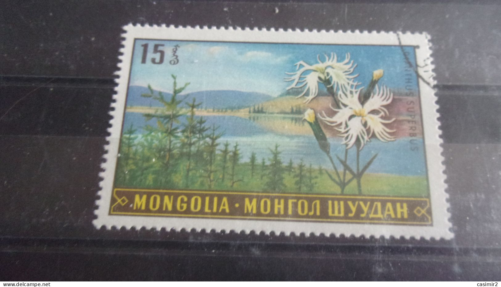 MONGOLIE YVERT N°489 - Mongolie