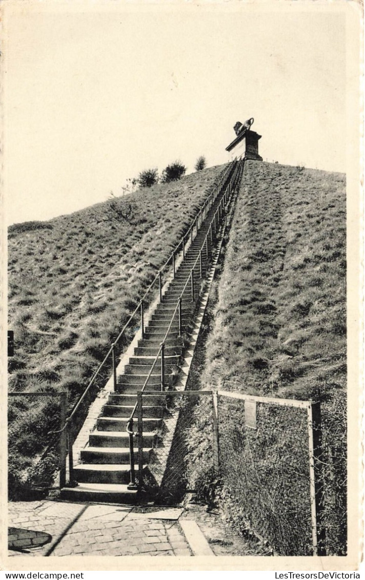 BELGIQUE - Waterloo - Vue Générale Du Lion (226 Marches) - Carte Postale Ancienne - Waterloo