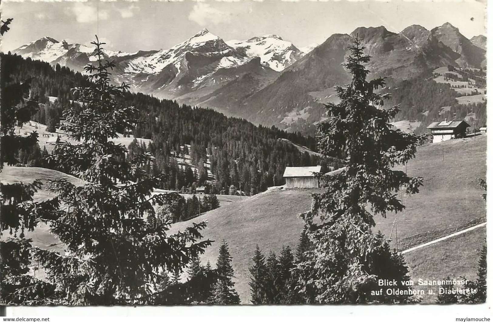 Les Diablerets - Aigle