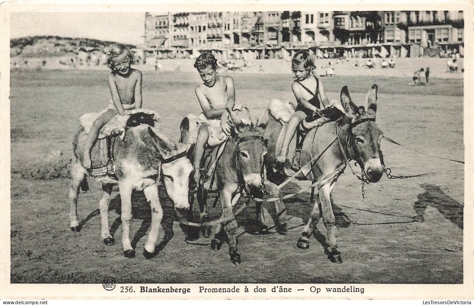 BELGIQUE - Blankenberge - Promenade à Dos D'âne - Carte Postale Ancienne - Blankenberge