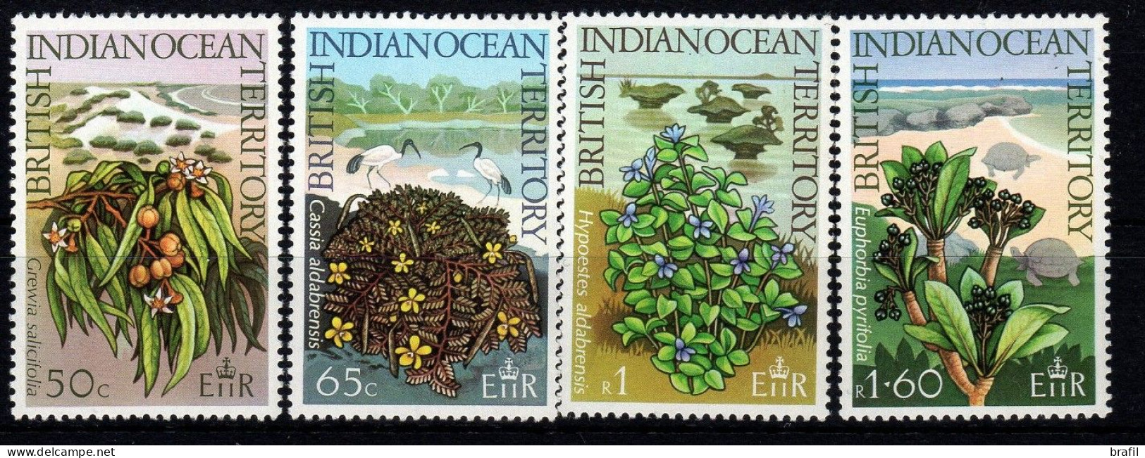 1975 Territorio Britannico Oceano Indiano, Flora E Fiori Selvaggi, Serie Completa Nuova (**) - Territoire Britannique De L'Océan Indien