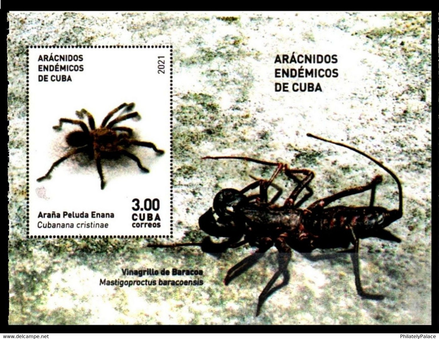 CUBA 2021 Spider Poison , Amphibian , Insect, MS MNH (**) Limited Edition - Unused Stamps