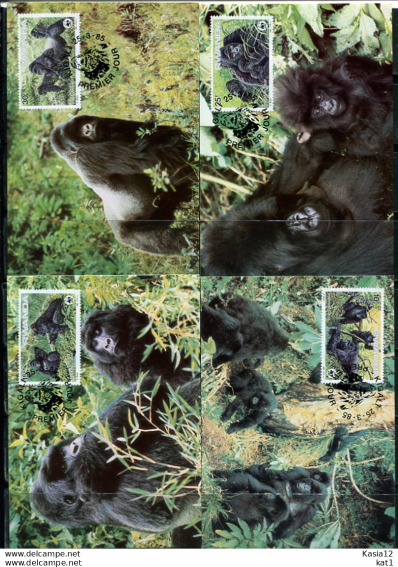 A51658)WWF-Maximumkarten Saeugetiere: Ruanda 1292 - 1295 - Cartoline Maximum