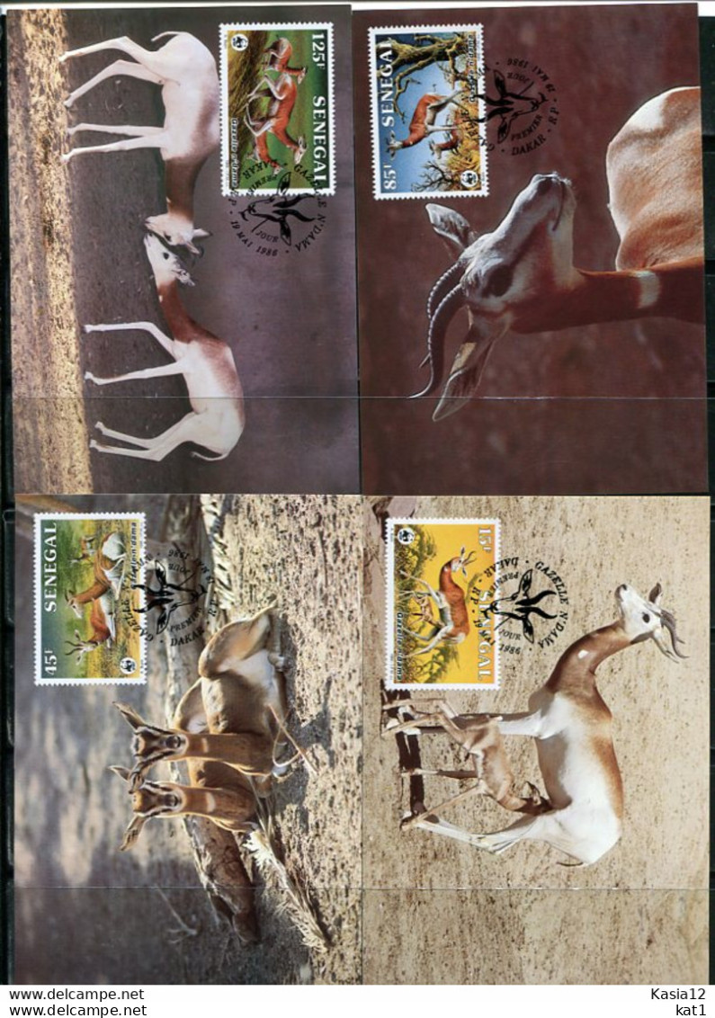 A51661)WWF-Maximumkarten Saeugetiere: Senegal 875 - 878 - Cartoline Maximum