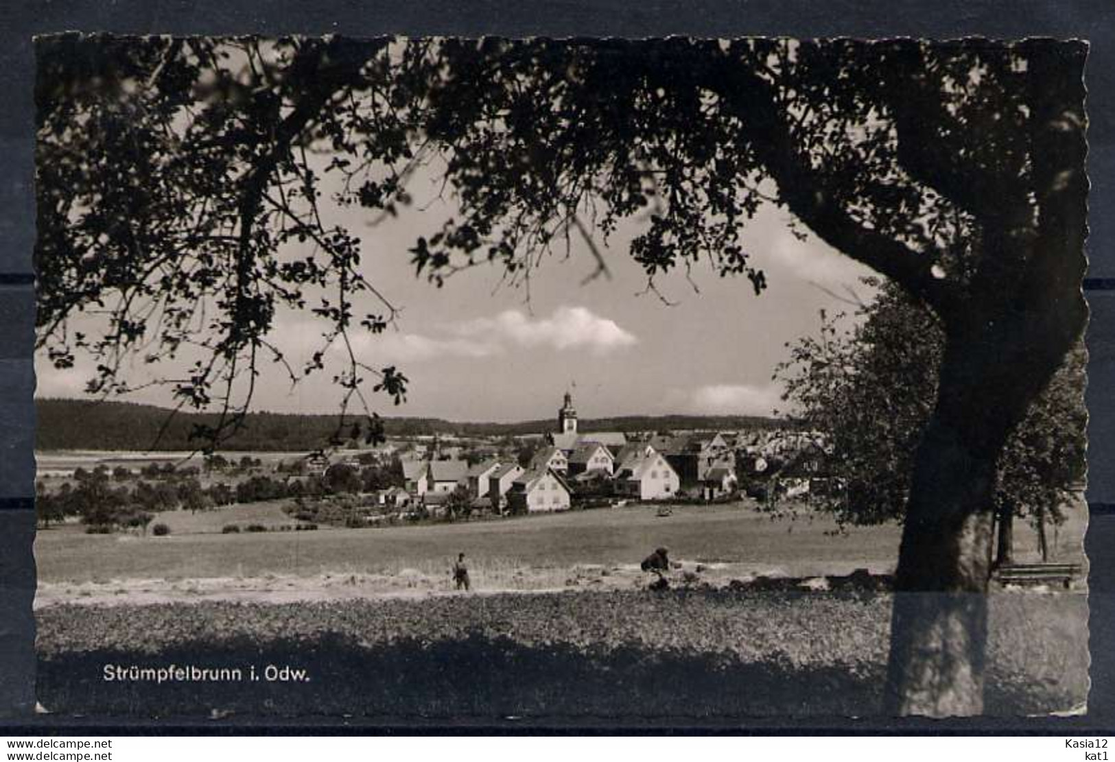 M04644)Ansichtskarte: Struempfelbrunn / Odenwald - Waldbrunn