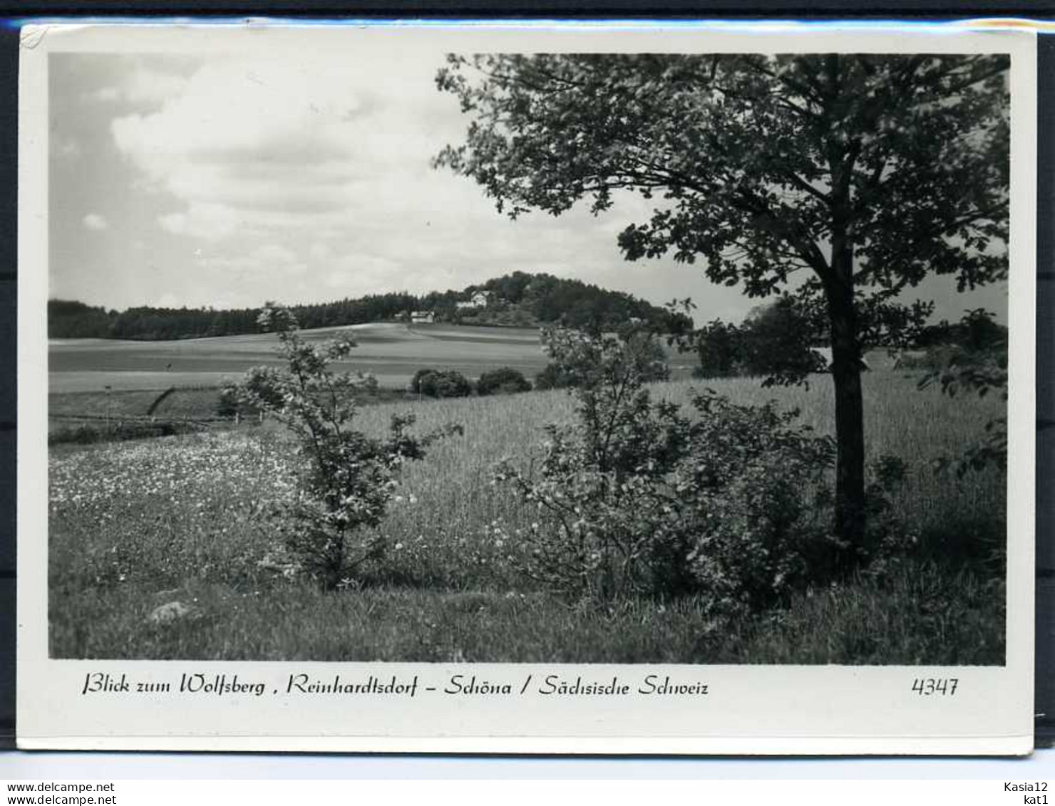 M06068)Ansichtskarte: Reinhardtsdorf-Schoena - Schöna