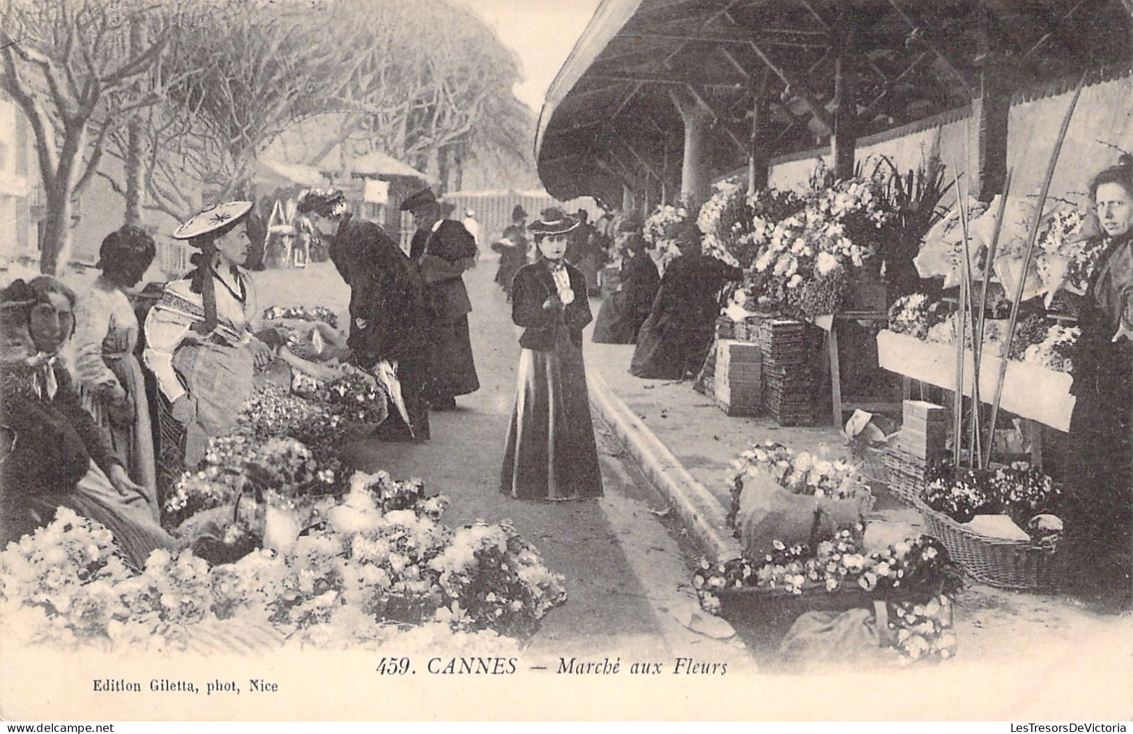 FRANCE - Cannes - Marché Aux Fleurs - Edition Giletta - Carte Postale Ancienne - Cannes