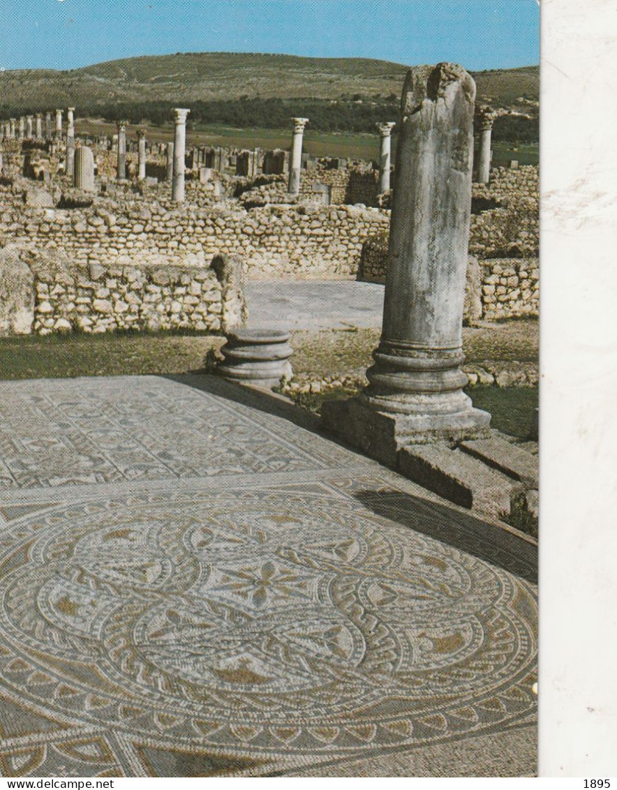 VOLUBILIS - Mauretanien