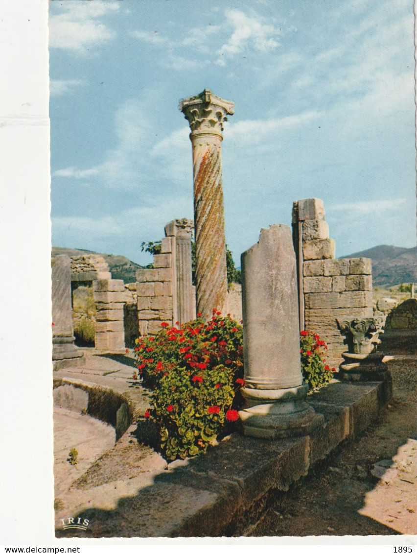 VOLUBILIS - Mauretanien