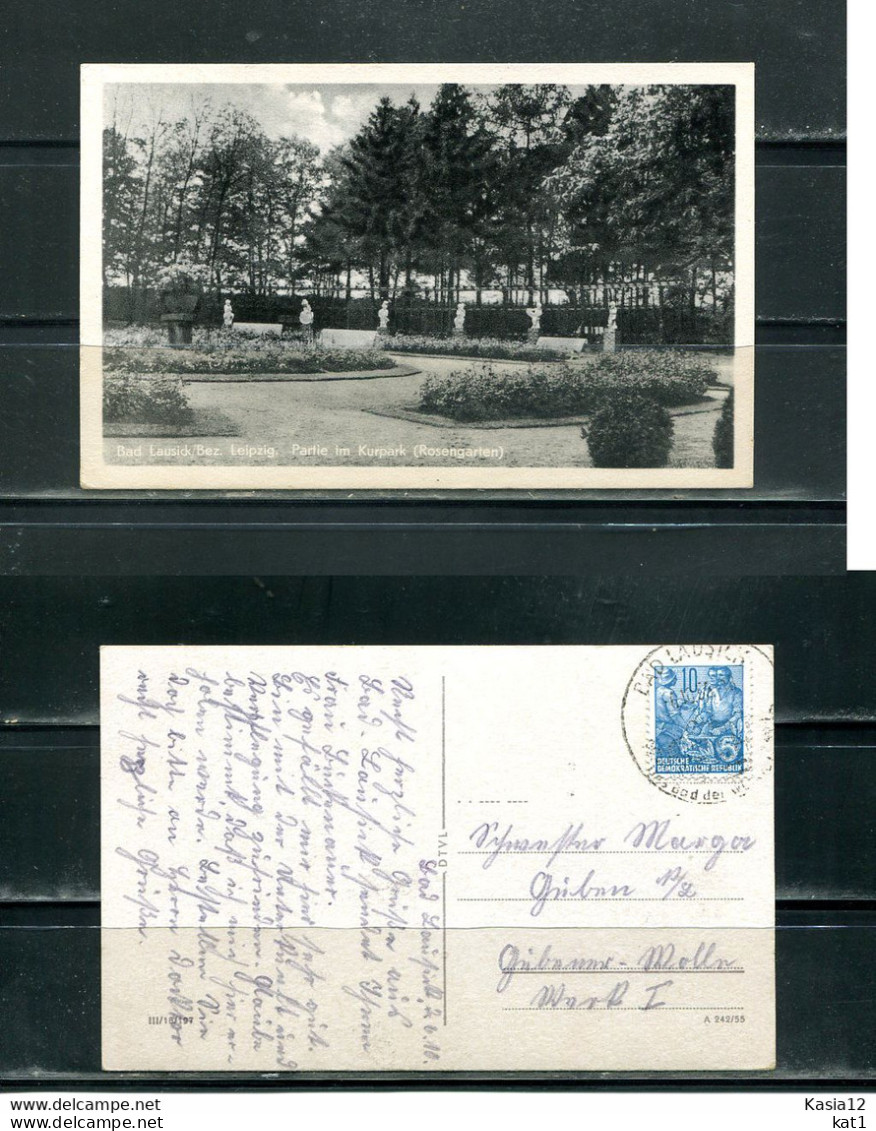 K15674)Ansichtskarte: Bad Lausick, Kurpark, Gelaufen 1956 - Bad Lausick