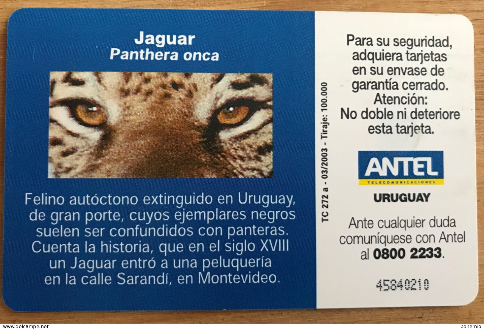 Uruguay TC272a Jaguar - Uruguay