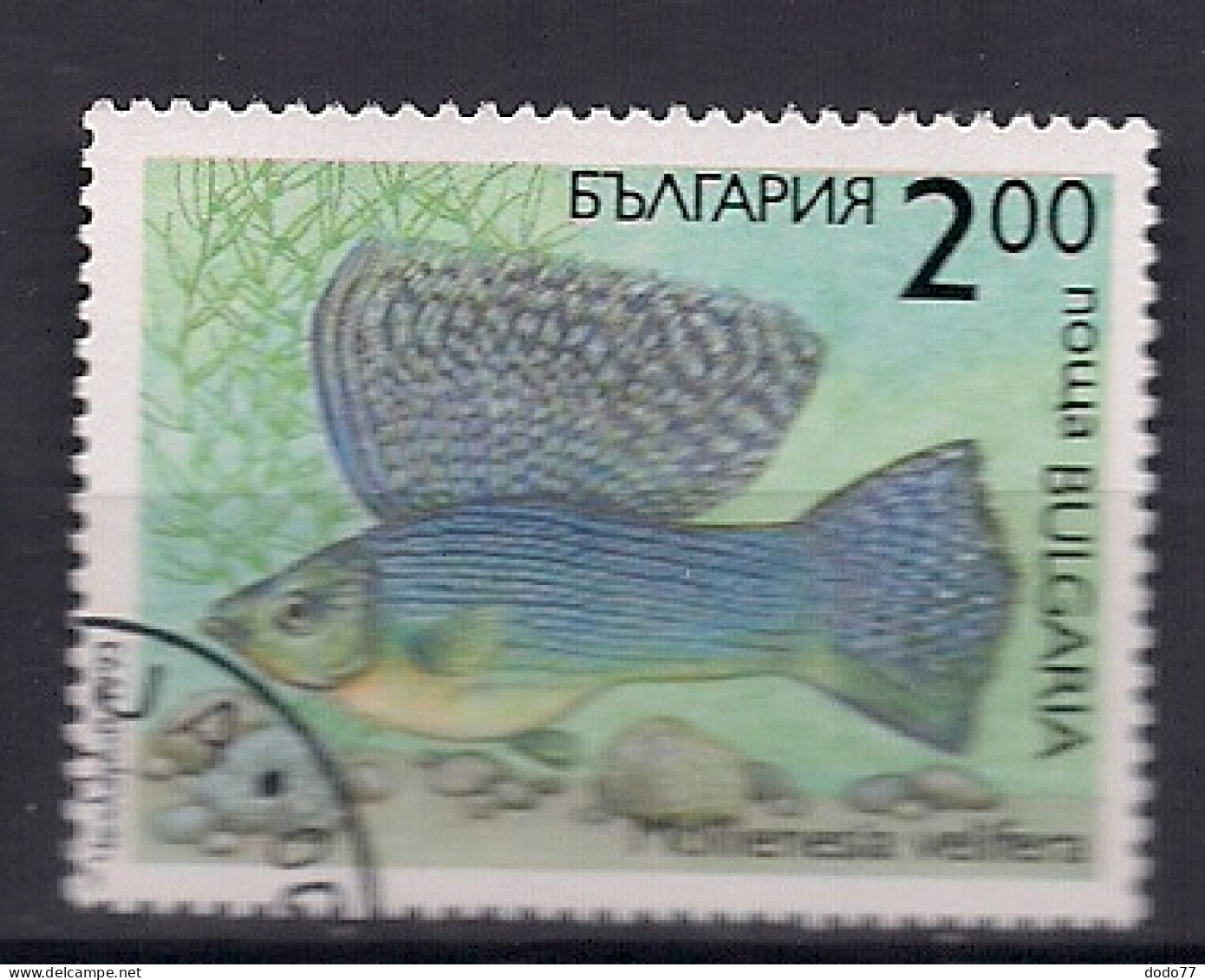BULGARIE   N°  3507     OBLITERE - Used Stamps