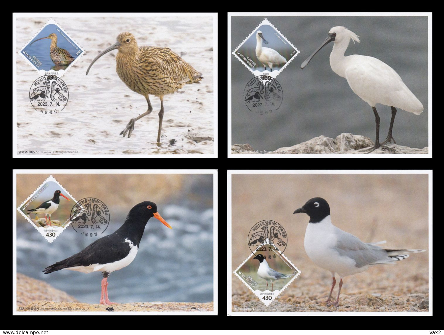 Korea 2023 Protected Marine Species - Bird Maximum Card - Corée Du Sud