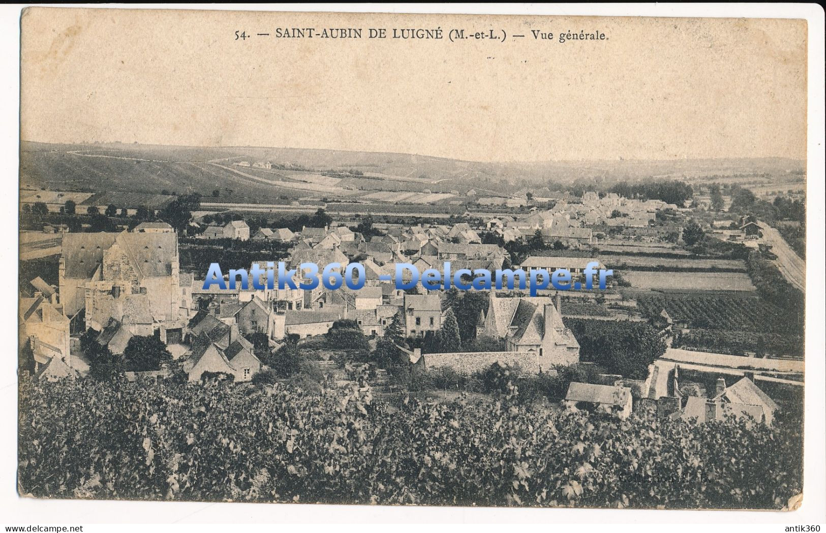 CPA 49 SAINT AUBIN DE LUIGNE Vue Générale - Chalonnes Sur Loire