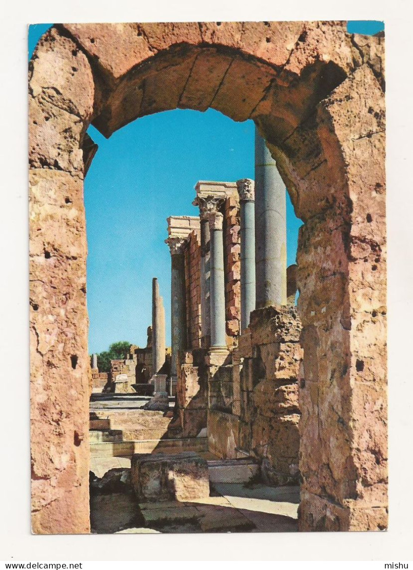 FA29 - Postcard - LIBYA - Leptis Magna, Uncirculated - Libia