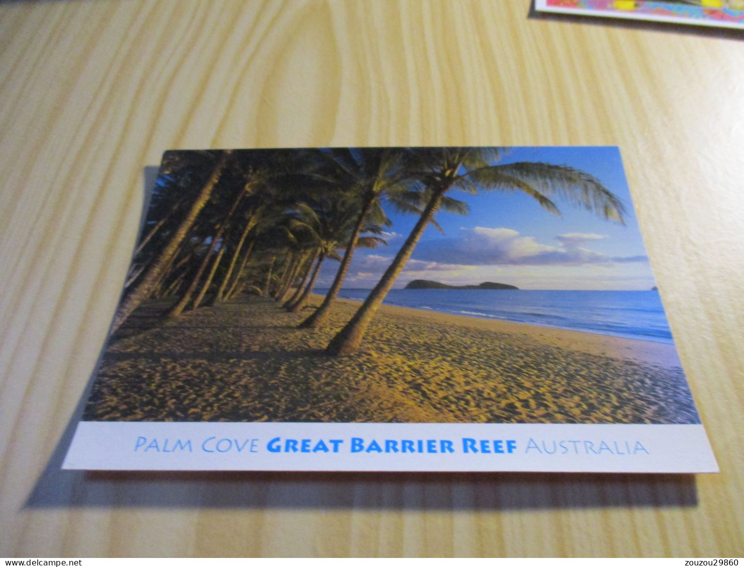 Great Barrier Reaf (Australie).Palm Cove. - Great Barrier Reef