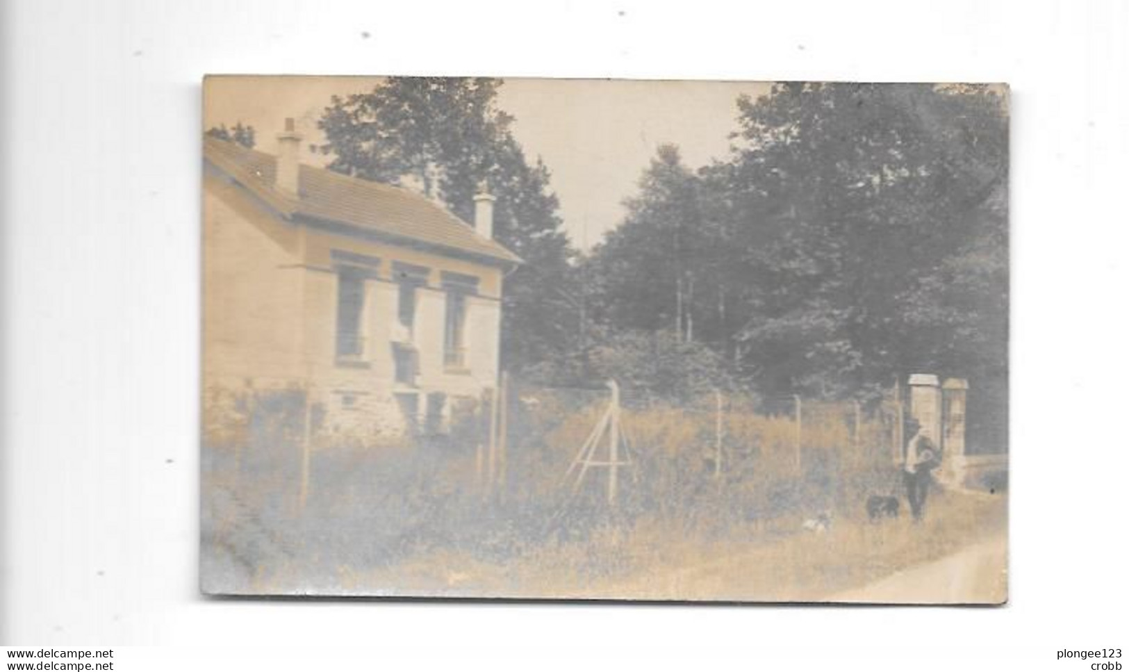 94 - Carte Photo PLESSIS TREVISE - Le Plessis Trevise