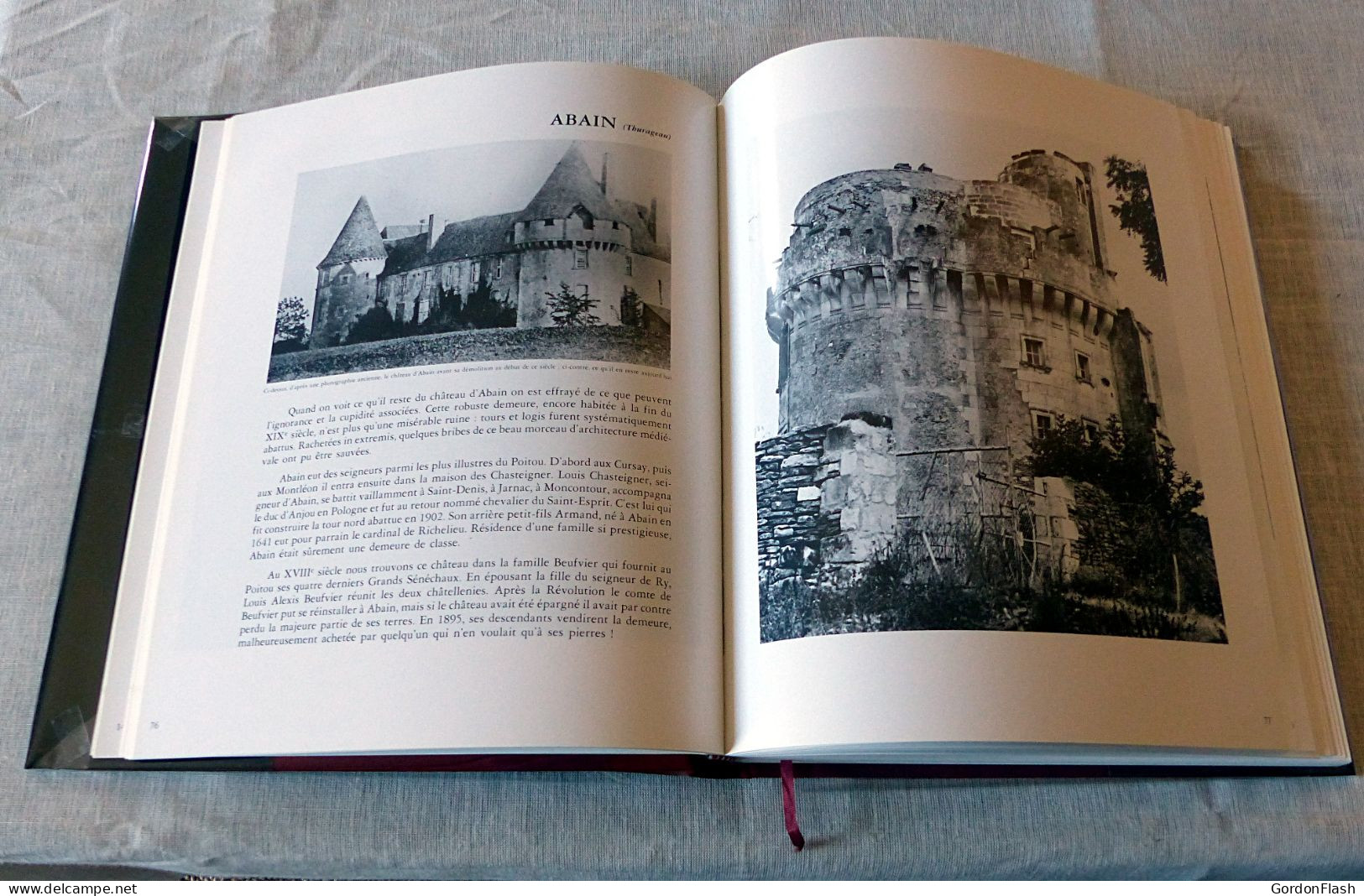 Livre : Les Chateaux De La Vienne - Poitou-Charentes