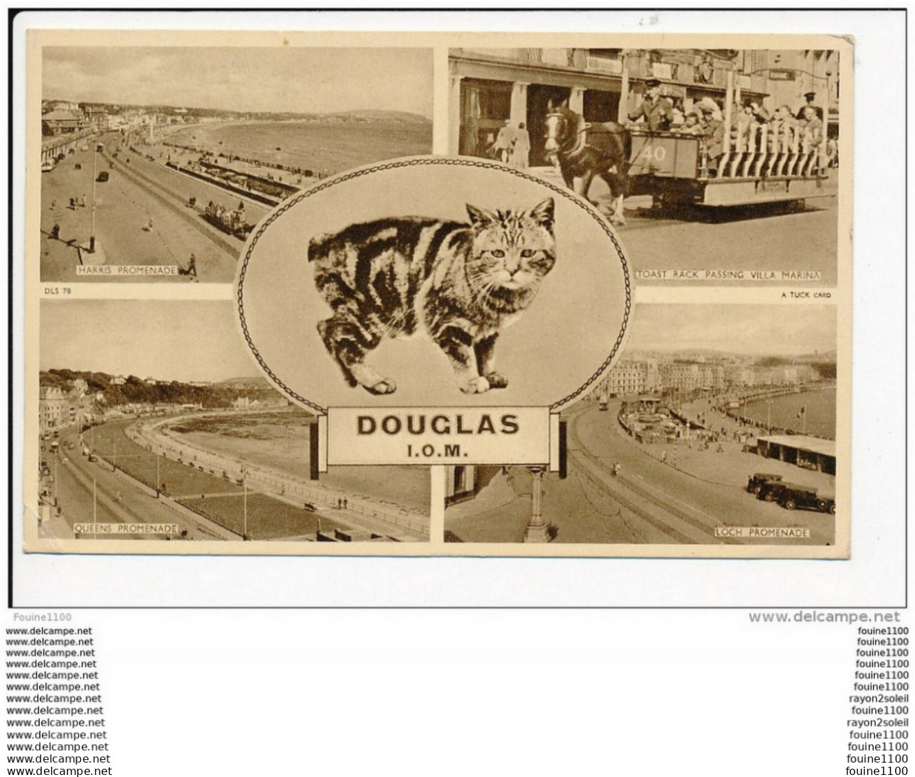 Carte Douglas I.o.m ( Chat ) ( Raphaël Tuck ( Format 14 X 9 Cm  ) Recto Verso - Isle Of Man