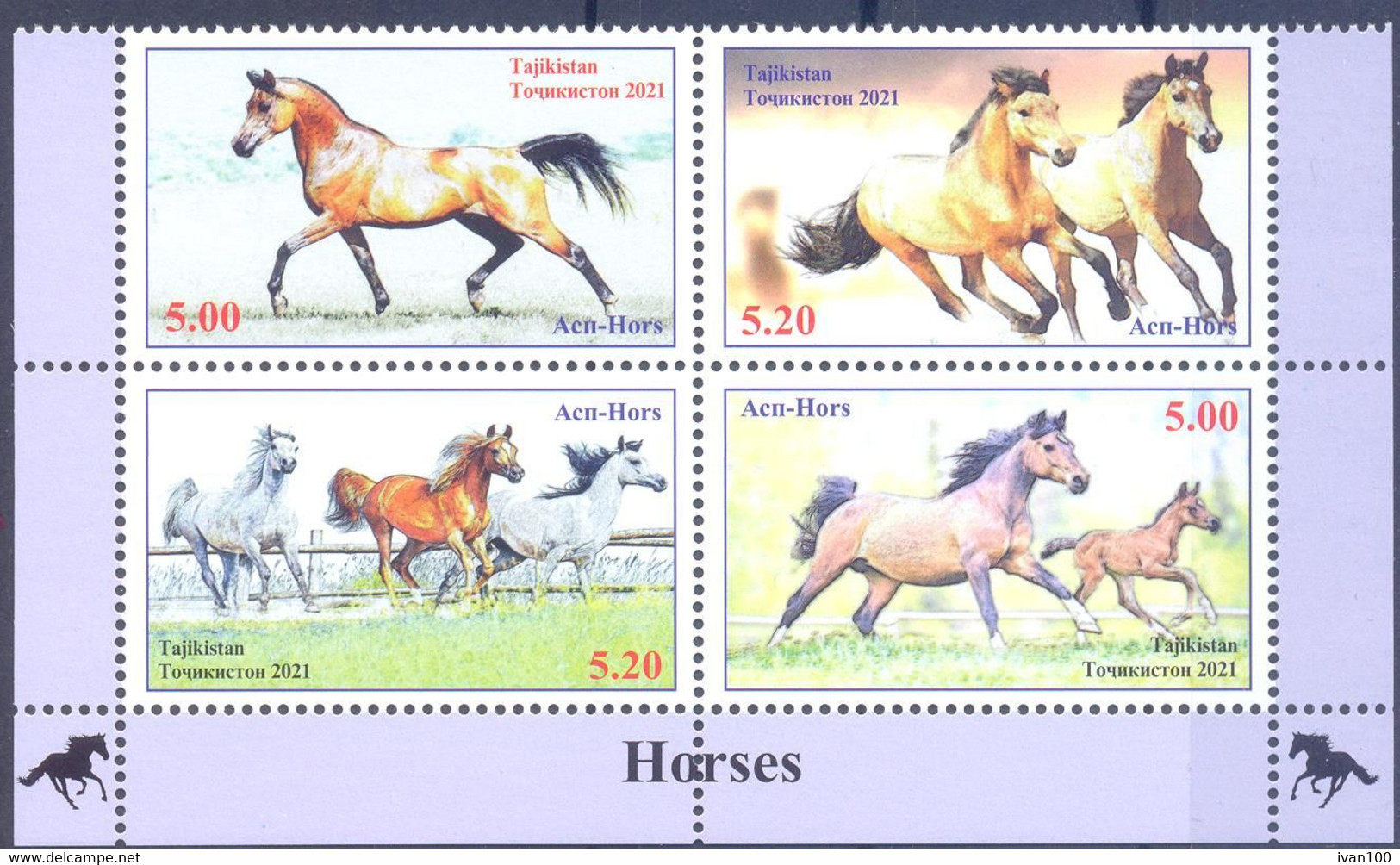 2021. Tajikistan, Horses, 4v Perforated, Mint/** - Tayikistán