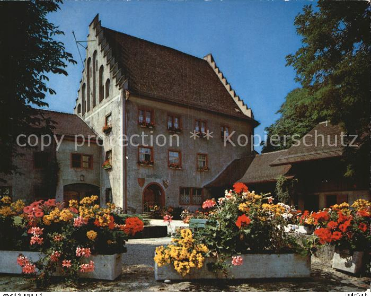 12587470 Bischofszell Schloss  Bischofszell - Altri & Non Classificati