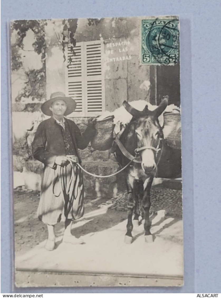 Espagne Carte Photo , Despacho De Las Entradas , Attelage D'âne - Autres & Non Classés