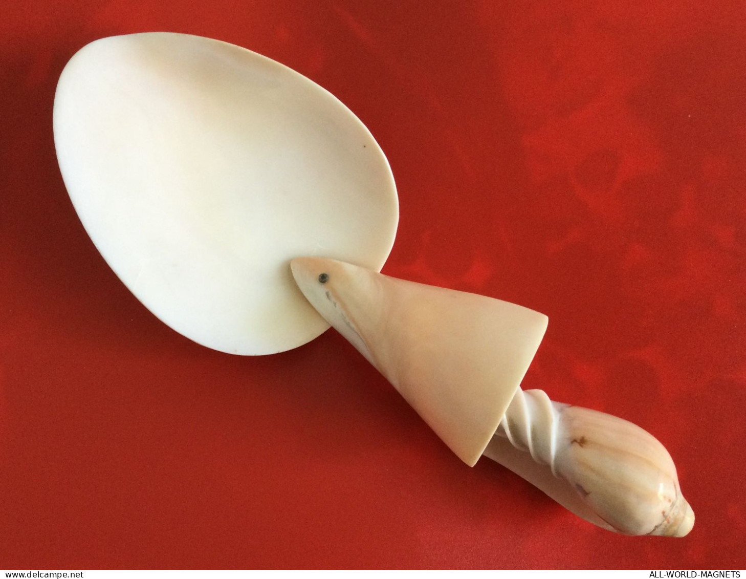 Tonga Handmade Decorative Seashells Conchs Shells Tablespoon Souvenir, From Tonga - Cucharas