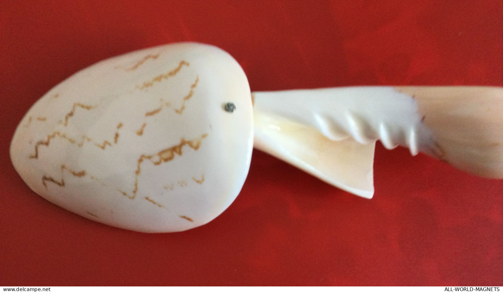 Tonga Handmade Decorative Seashells Conchs Shells Tablespoon Souvenir, From Tonga - Cucchiai