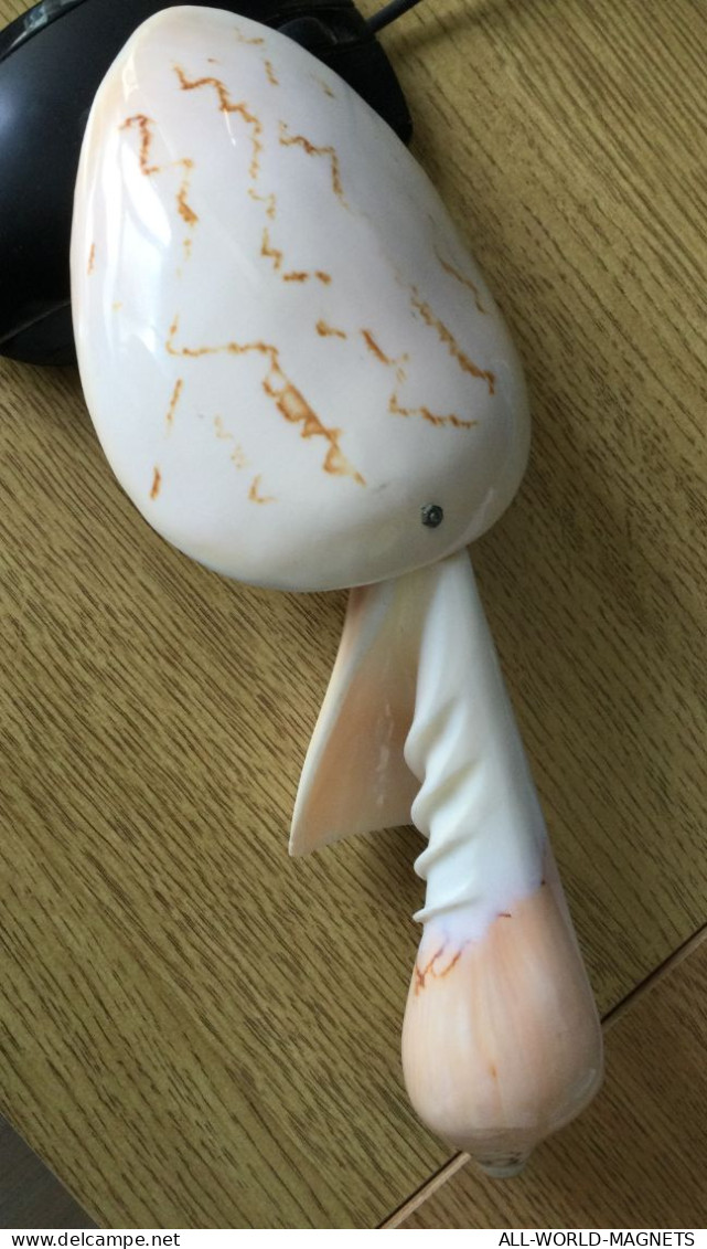 Tonga Handmade Decorative Seashells Conchs Shells Tablespoon Souvenir, From Tonga - Cucchiai